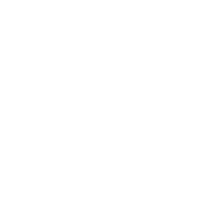 Iconos-web-06