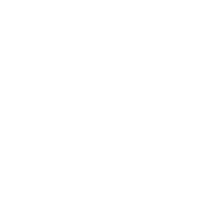 Iconos-web-08
